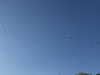 20140921161524-P1070203.JPG