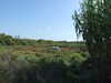 20140925122420-DSCF1579.JPG