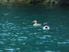 20140928162320-DSCF1652.JPG