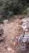 20140929151534-2014-09-29_15.15.34.jpg