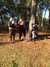 20141012115750-2014-10-12_11.57.50.jpg