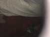 2014-11-10:Floor Foot Bedclothes
