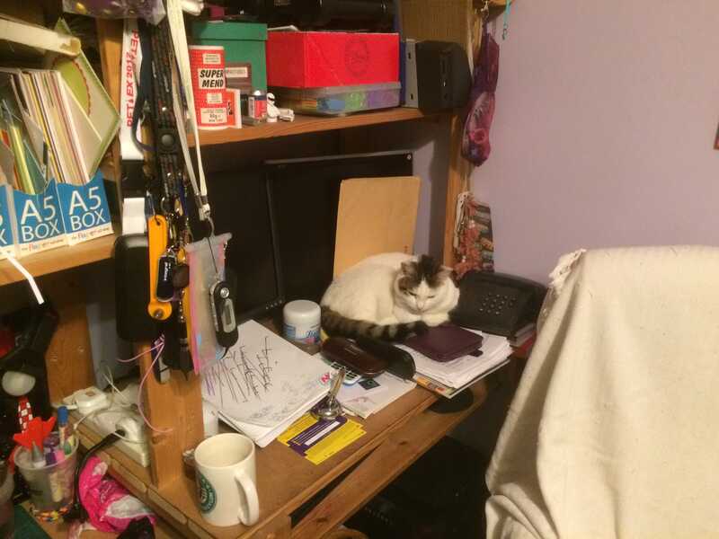 20150125164912-IMG_0617.JPG
