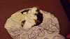 2015-02-19:Felicity
