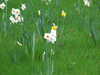 20150329121437-DSCF1777.JPG
