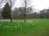 20150329121441-DSCF1778.JPG