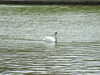 20150331150017-DSCF1835.JPG