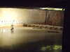 20150401110050-DSCF1881.JPG