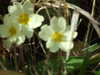 20150401112429-DSCF1891.JPG