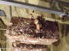 20150401121849-DSCF1916.JPG