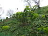 20150402120132-DSCF1942.JPG