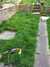 2015-04-07:Garden
