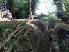20150503152512-2015-05-03_15.25.12.jpg