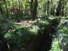 20150503152526-2015-05-03_15.25.26.jpg