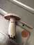 2015-05-09:Mushroom
