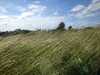 2015-07-04:Ashdown Forest
