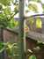 20150705194844-2015-07-05_19.48.44.jpg