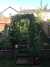 2015-07-09:Garden
