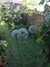 20150709181337-2015-07-09_18.13.37.jpg