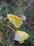 20150731210413-DSCF2123.JPG