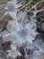 20150731214739-DSCF2179.JPG