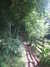 20150816105353-DSCF2237.JPG