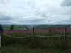 20150816132600-DSCF2270.JPG