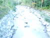 20150915062440-DSCF2474.JPG