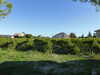 2015-09-25:Winery Haribo Grottes de Trabuc
