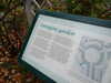 20151024151341-DSCF2847.JPG