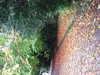 20151024151450-DSCF2850.JPG