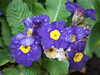 20160325122738-DSCF2990.JPG