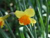 20160325132519-DSCF2995.JPG