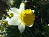20160325132917-DSCF2997.JPG