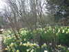 20160325132924-DSCF2998.JPG