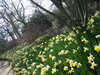 20160325132933-DSCF2999.JPG