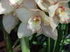 20160325133454-DSCF3012.JPG