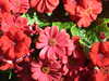 20160325134140-DSCF3021.JPG