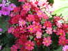 20160325134153-DSCF3023.JPG