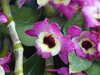 20160325135025-DSCF3037.JPG