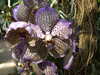 20160325135515-DSCF3043.JPG