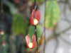 20160325135630-DSCF3044.JPG