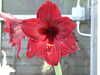 20160325140300-DSCF3052.JPG