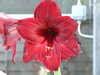 20160325140303-DSCF3053.JPG