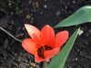 20160325140618-DSCF3056.JPG