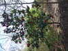 20160325144047-DSCF3058.JPG