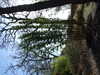 20160325144059-DSCF3059.JPG