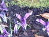 20160325144919-DSCF3066.JPG