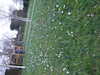 20160325145542-DSCF3070.JPG