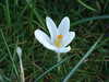 20160325145555-DSCF3073.JPG